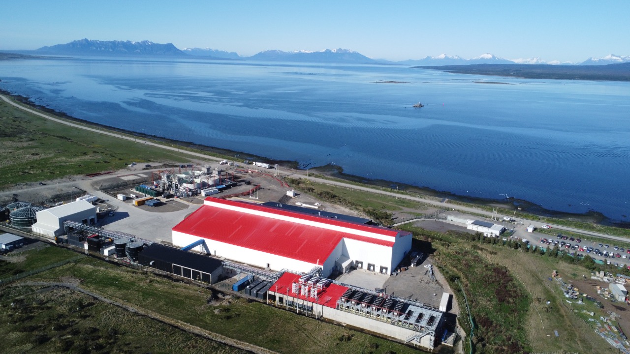 佳沃食品智利新工廠首批三文魚抵華：螺旋式冷凍工藝引領品質保障