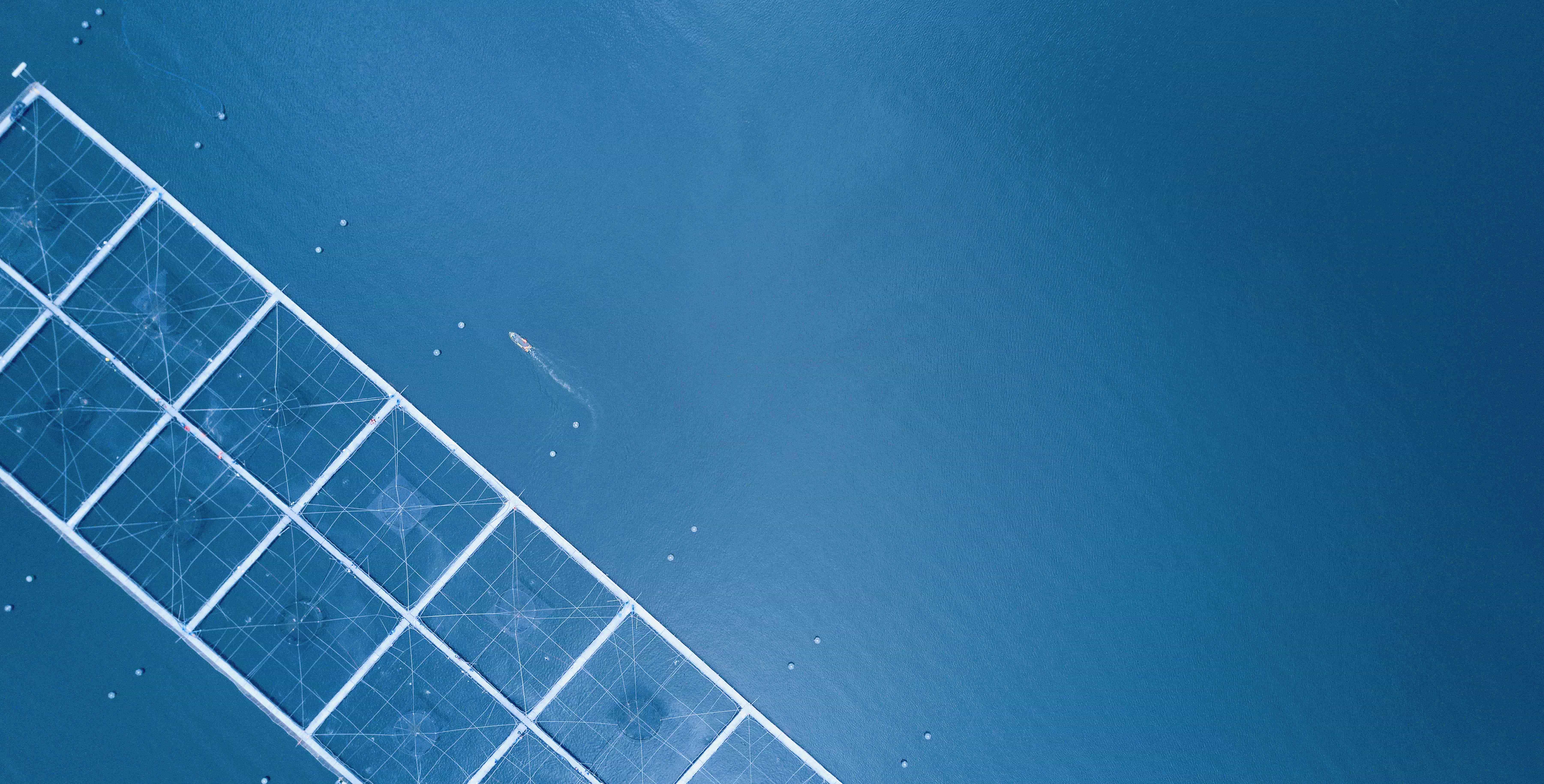 【科普】飼料轉(zhuǎn)化率（FCR）低于1，佳沃食品三文魚吃一斤長一斤技術(shù)大揭秘